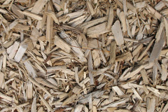 biomass boilers Great Oak